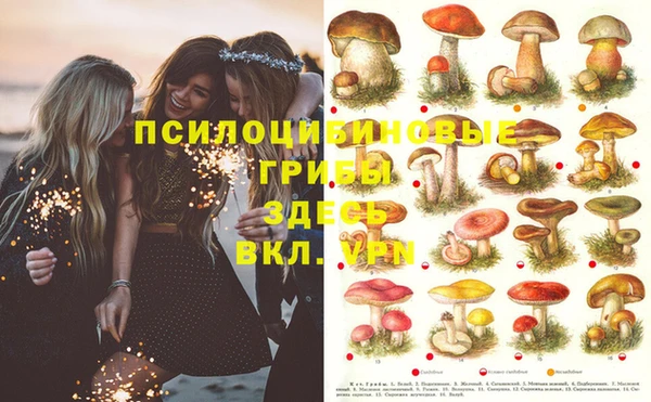 синтетический гашиш Абинск