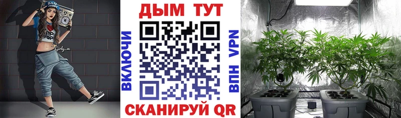 нарко площадка как зайти  Лангепас  Марихуана конопля 
